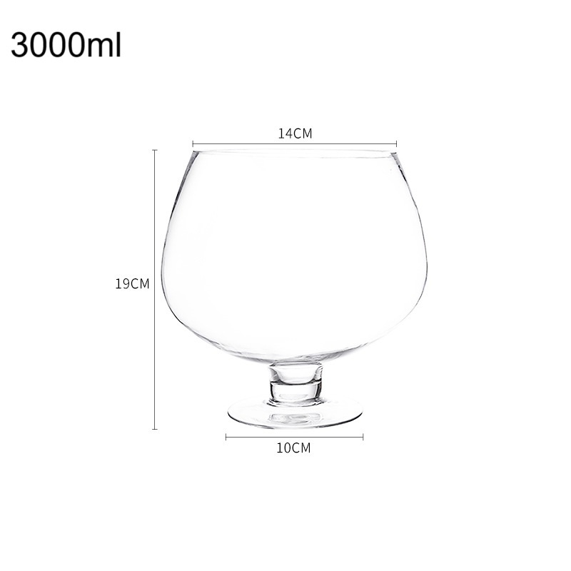3000 ml