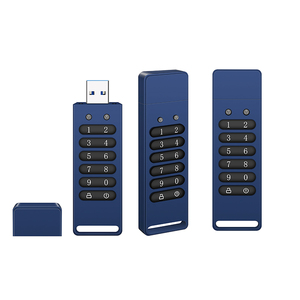 USB <strong>Memory</strong> Digital USB <strong>Flash</strong> Disk AES256-bit Hardware Password <strong>Encrypted</strong> USB <strong>Memory</strong> Stick OEM ODM OBM Customization DIY - Product Image 5
