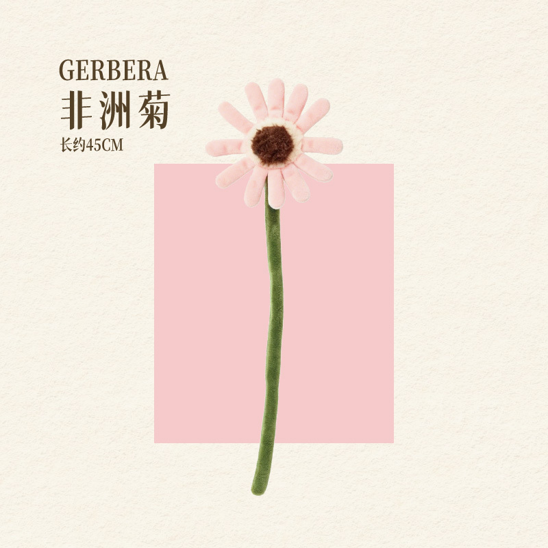 GERBERA