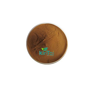 100% Pure Organic Natural <strong>Burdock</strong> Root Extract Fructus Arctii - Product Image 3