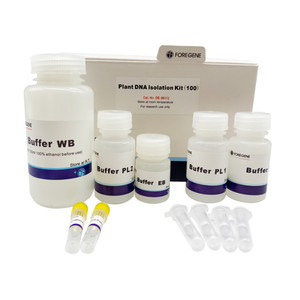 核酸精製用DNA抽出用植物ゲノムDNAキット - Product Image 3