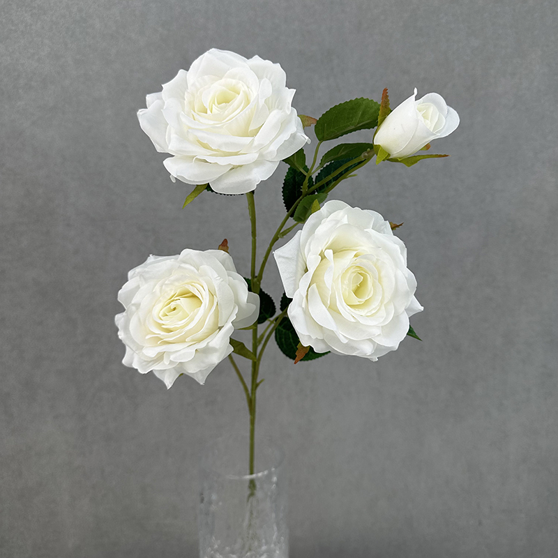 blanc de lait