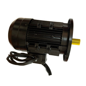 Motor Bldc sin escobillas de 1KW/2KW/3KW 24VDC/48VDC/72VDC 3000RPM con ajuste de velocidad PWM, Sensor Hall, freno, Motor de barco, ventilador de rotación, uso - Product Image 1