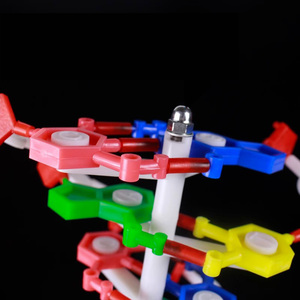 2025 nuevo modelo de ADN KRC/modelo biológico enseñanza médica modelo de estructura de ADN de doble hélice biológica - Product Image 2