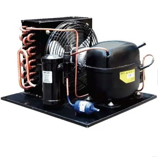 Unità di refrigerazione dell'unità di condensazione del piccolo compressore raffreddata ad aria da 1/3 HP 110V