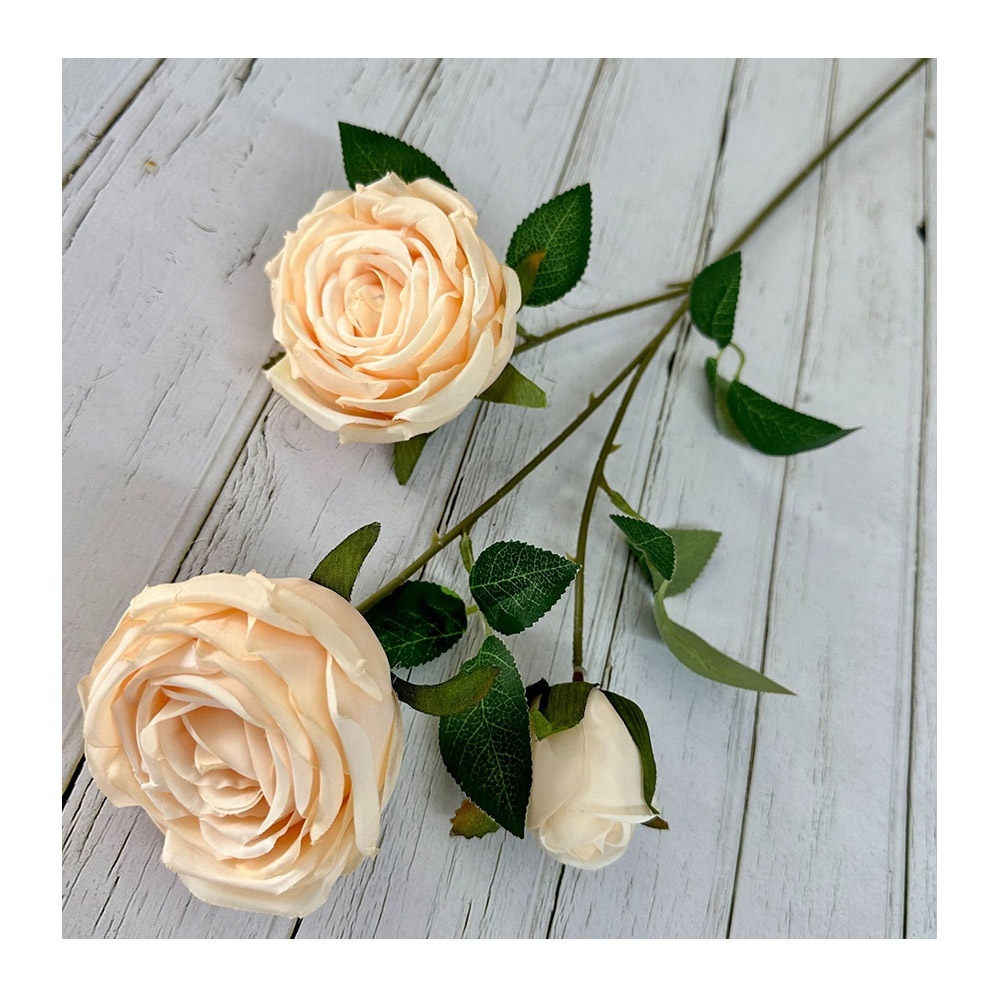 3 rose a stelo singolo color champagne