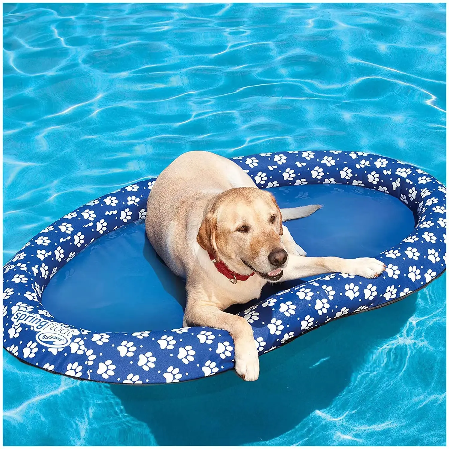 Foldable Swimming Pool Floating Row Bed Water Toy For Dogs Inflatable Pet Dog Floating Row