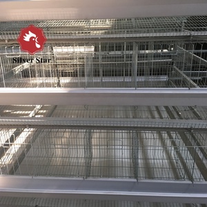 כלוב שכבה משק עופות לול עבור 5000 תרנגולות באפריקה