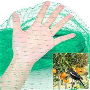 <strong>Export</strong> Green 1.5CM Mesh Hole 4x15m HDPE <strong>Netting</strong> - Product Image 4