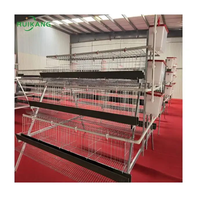 A Type Egg Chicken Cage with 120 Birds Battery Chicken Coop for Poultry Farming