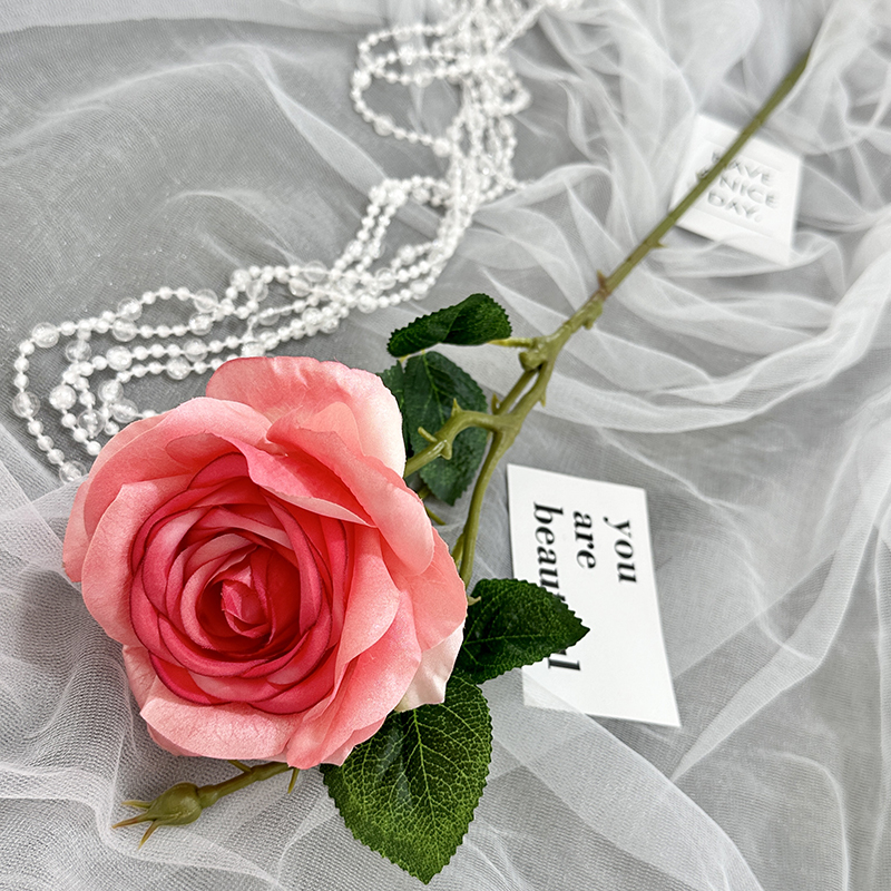 Rose madder