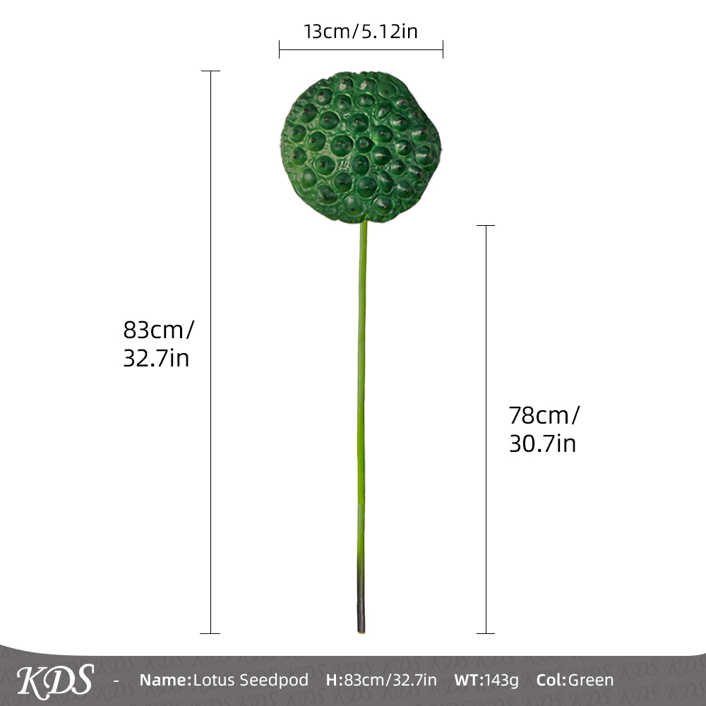 เมล็ดบัวใหญ่