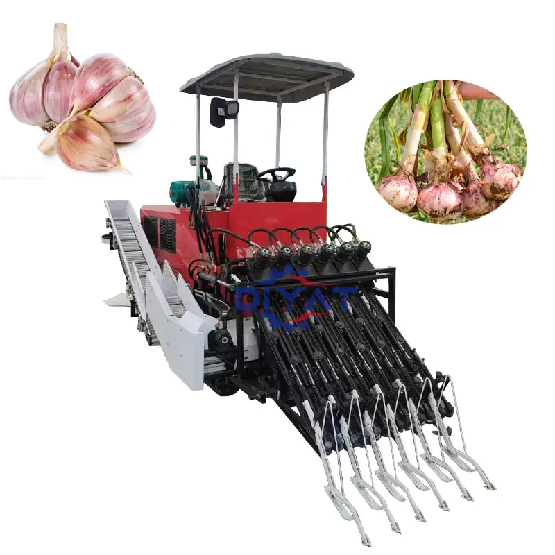 Hohe Effizienz sparen Arbeit Automatische Knoblauch ernte maschine