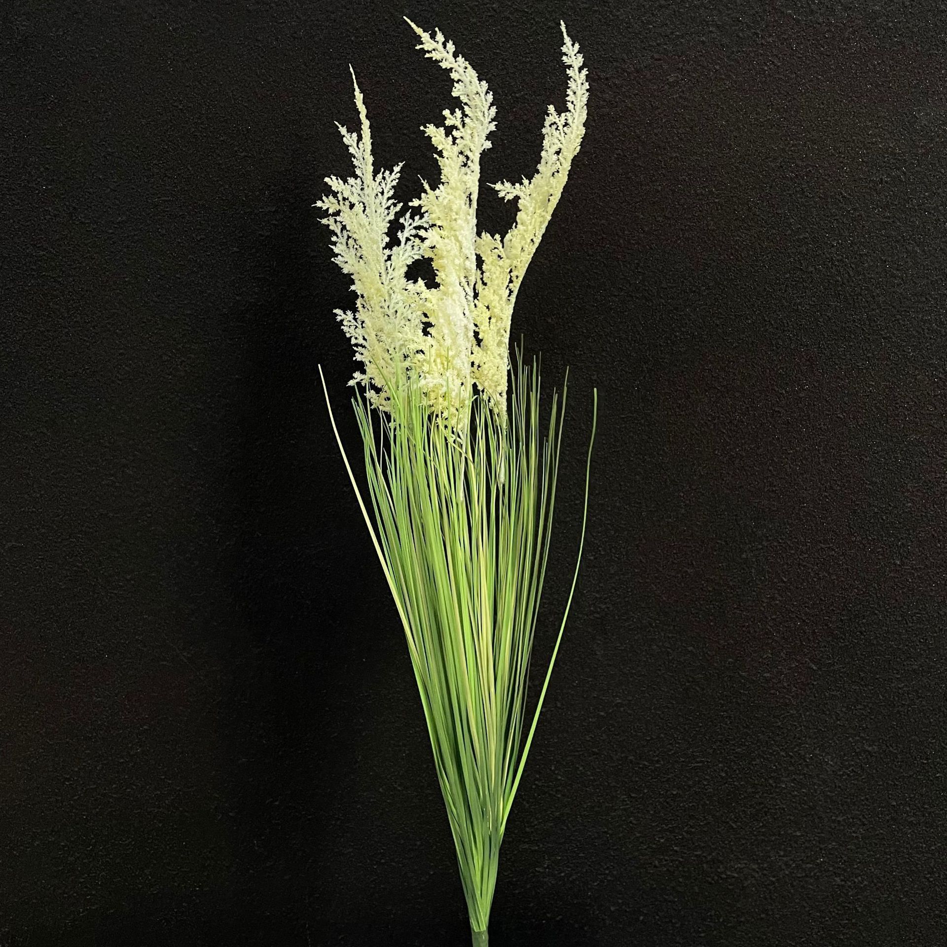 Faisceau d'herbe de roseau à manche blanc
