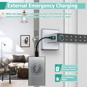 Camakt 2024 <strong>New</strong> Silver Tuya Smart <strong>Lock</strong> Door Face Recognition Fingerprint Password Card <strong>Key</strong> Smart Door <strong>Lock</strong> - Product Image 6