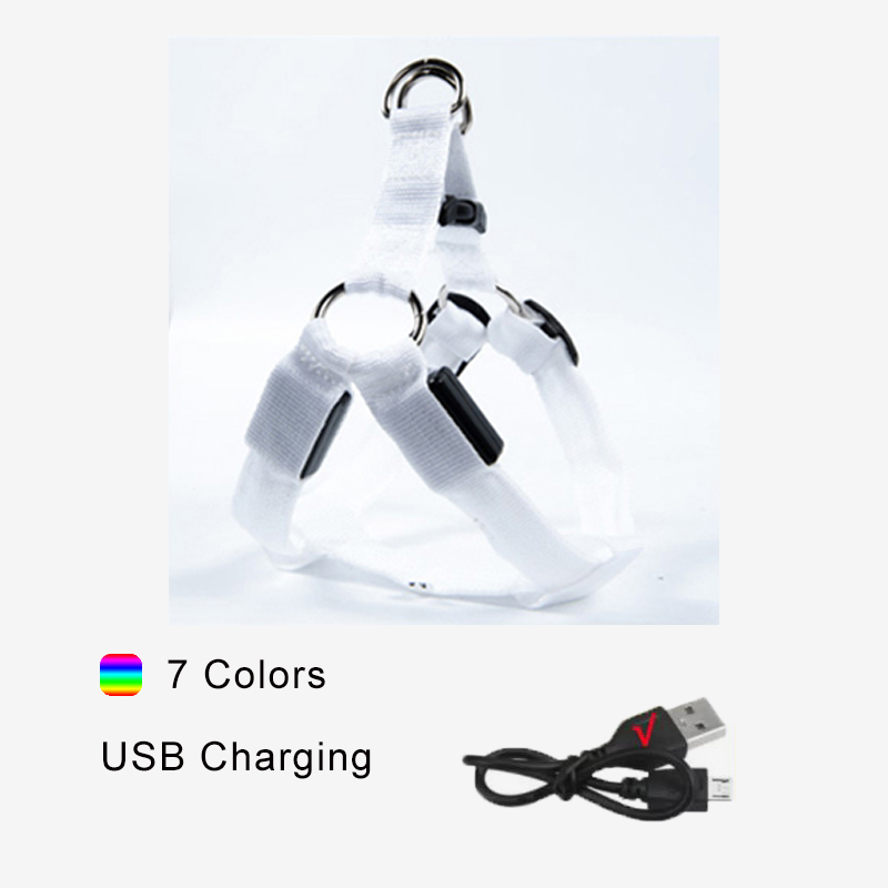 Chargement USB coloré