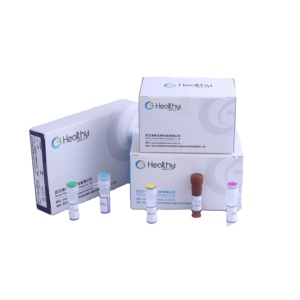 Healthymedical tıbbi araştırma lösemi gen test kiti PCR-floresan Probing İnsan 60 Fusion gen tarama kiti - Product Image 1