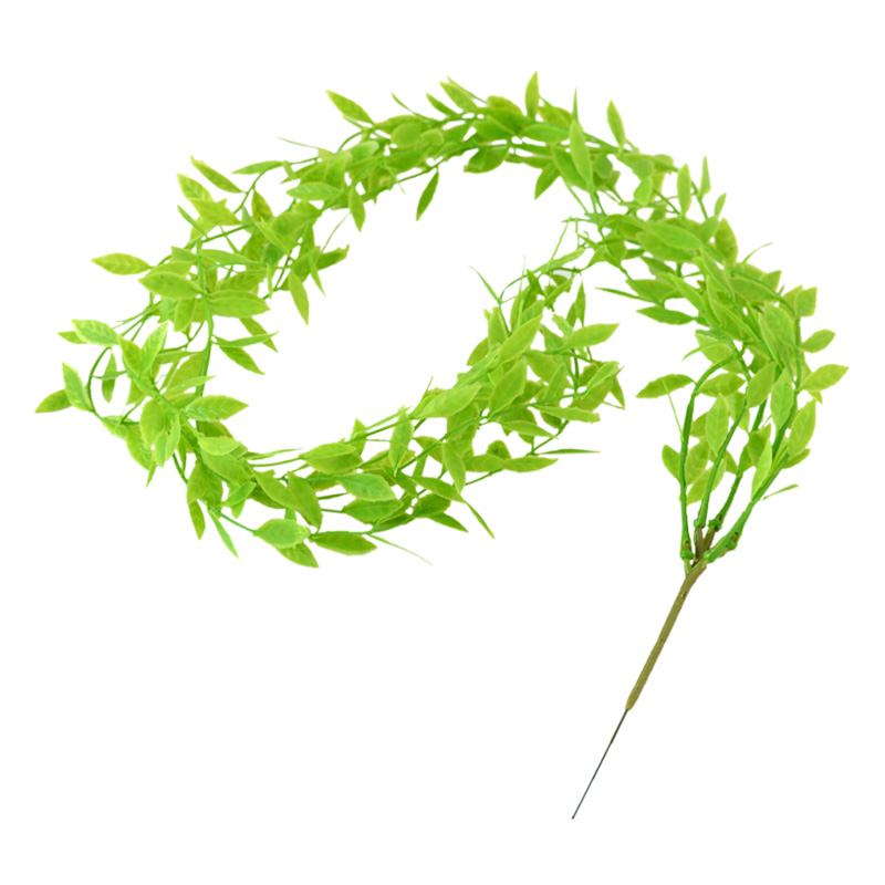 Vert clair