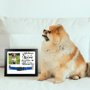 Özelleştirilebilir yüceltilmiş MDF köpek ve kedi fotoğraf çerçevesi Pet anıtlar MDF Pet fotoğraf çerçevesi yaka olmadan - Product Image 2
