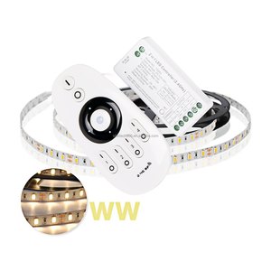 2 in 1 Controller LED DC12V-24V 12A 288W Wireless PWM striscia di colore singolo luminosità regolabile 6A uscita telecomando Rf - Product Image 5