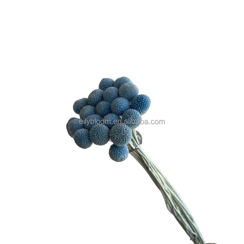 Azzurro di cielo