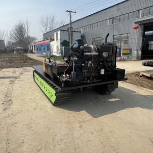 חדש ג 'יאשי 5t קיבולת טעינה דיזל ידנית זחילה בניית כביש עירוני מתאים הקמעונאי ביצועים יציבים 1 - Product Image 6