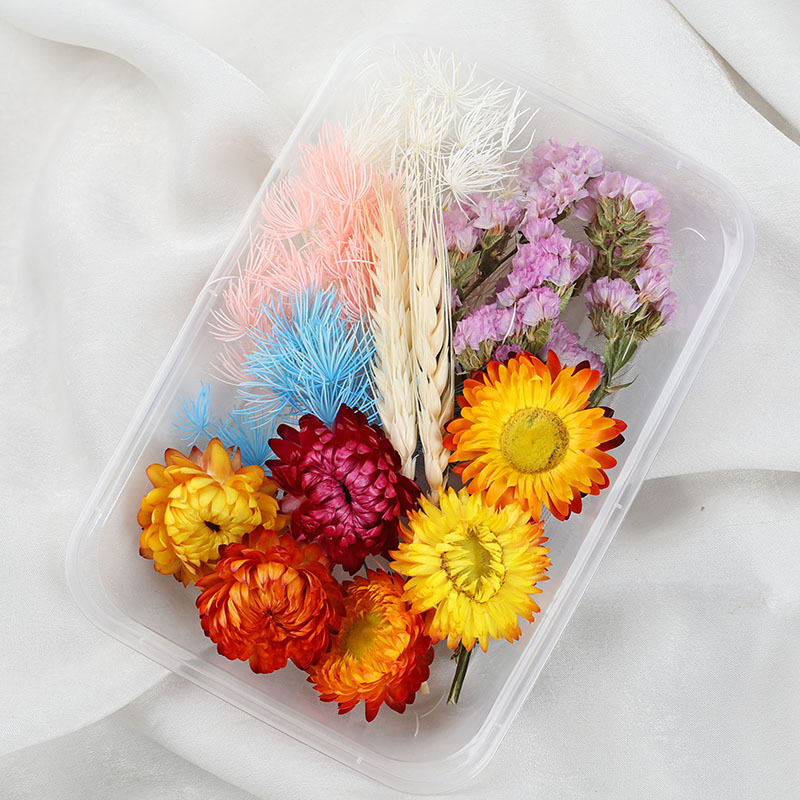 สีสัน-5