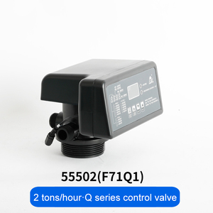 Runxin 2 m3/h sistema di addolcimento automatico dell'acqua da 2 pollici da 500lph per il trattamento dell'acqua da 500lph, componenti del nucleo del motore della pompa - Product Image 4