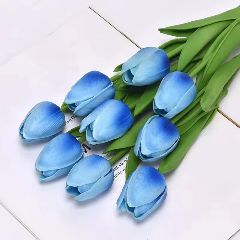Bleu clair