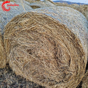 100% Virgin Material Straw Bale <strong>Netting</strong> <strong>Round</strong>/Square Bale <strong>Netting</strong> for Hay &amp; Forage | Factory Direct Sale &amp; Customizable - Product Image 4