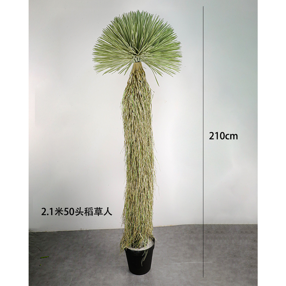 210 cm