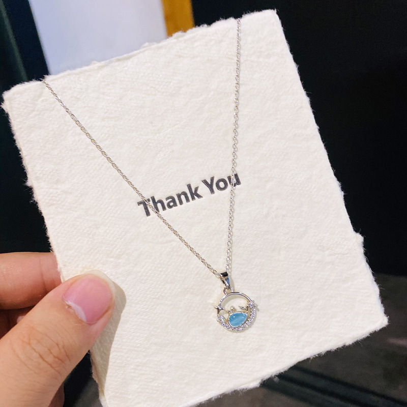 D01 silver-blue little whale