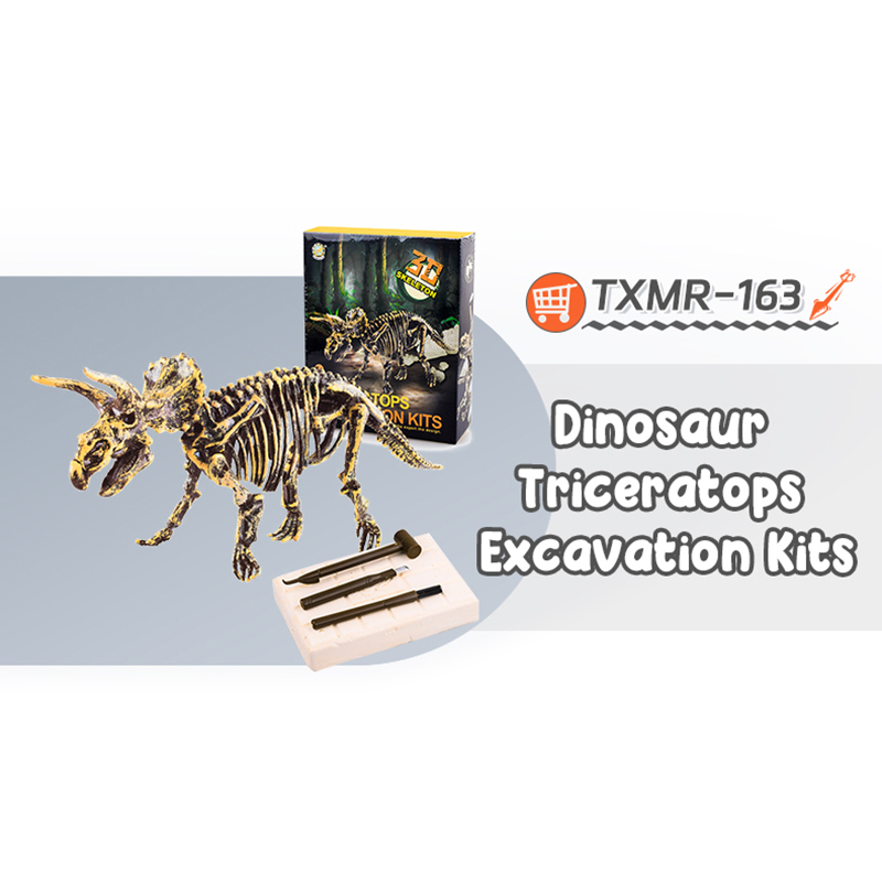 TXMR-163