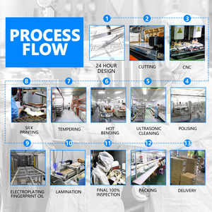 מגן מסך פרטיות נגד ריגול אאורי לאייפון זכוכית מחוסמת 2.5d עם מגש התקנה לאייפון 15 14 13 12 11 pro max - Product Image 4