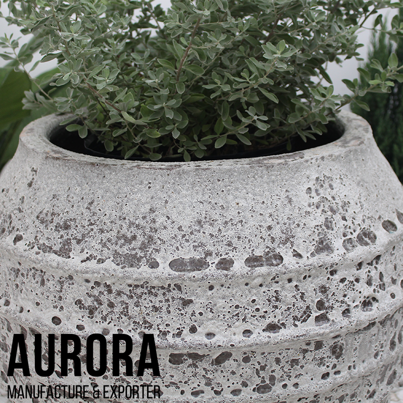 สนิมสีเทา