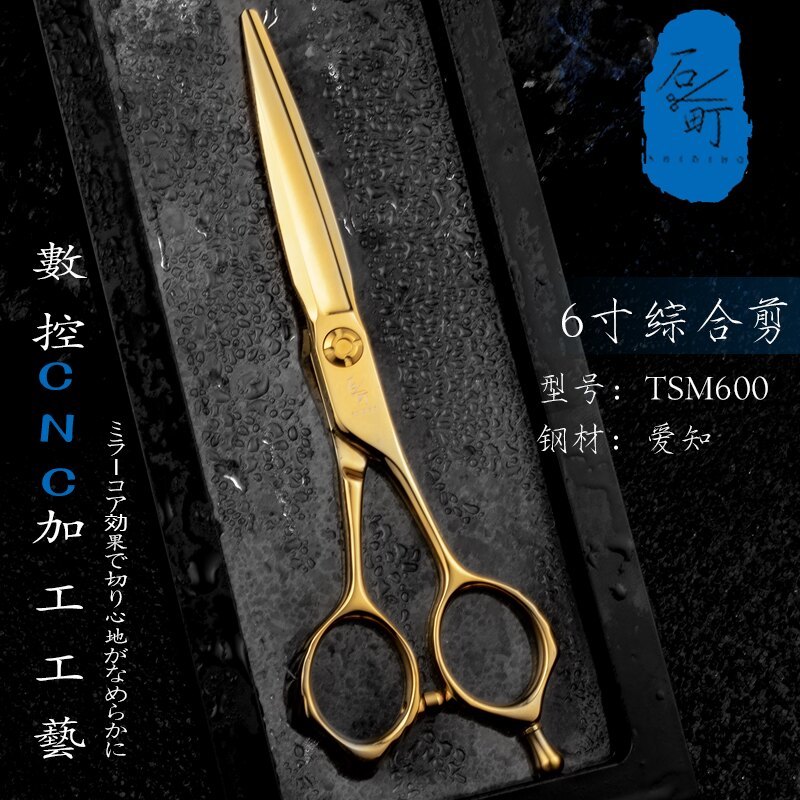 TSM600