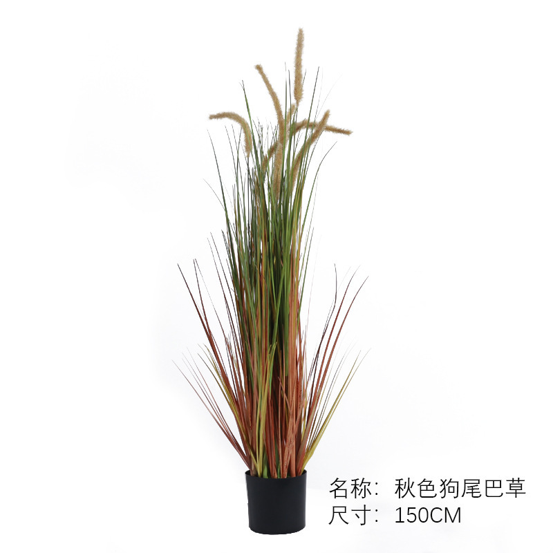 Plante en pot d'herbe de type "foxtail" aux couleurs automnales (150 cm)