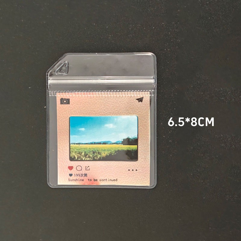 Reversal film case
