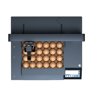 Hoch auflösende Eier tinten strahl-/Datums-Chargencode-Druckmaschine Touchscreen-Steuerung Chargen nummer Eier-Tinten strahl drucker - Product Image 5