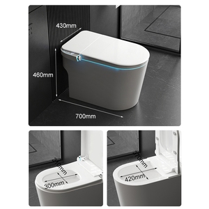 トイレセット健康生活バスルーム用安全トイレ自動セルフクリーンスマートセラミックビデ - Product Image 6
