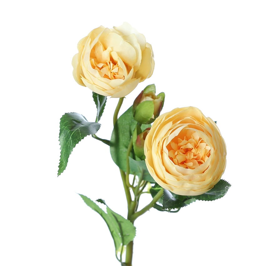 S สีเหลือง