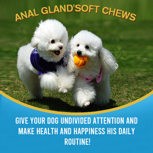 Groothandel Dierenarts Goedgekeurd Anale Klier Zachte Kauwtraktaties Supplement Voor Spijsverteringsondersteuning Constipatie Verlichting En Ontlasting Steviger - Product Image 2
