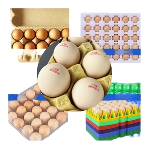 Automatische Datums codierung maschine Eier druck Logo Qr-Code-Maschine Batch-Codier maschine für kleine Unternehmen - Product Image 4
