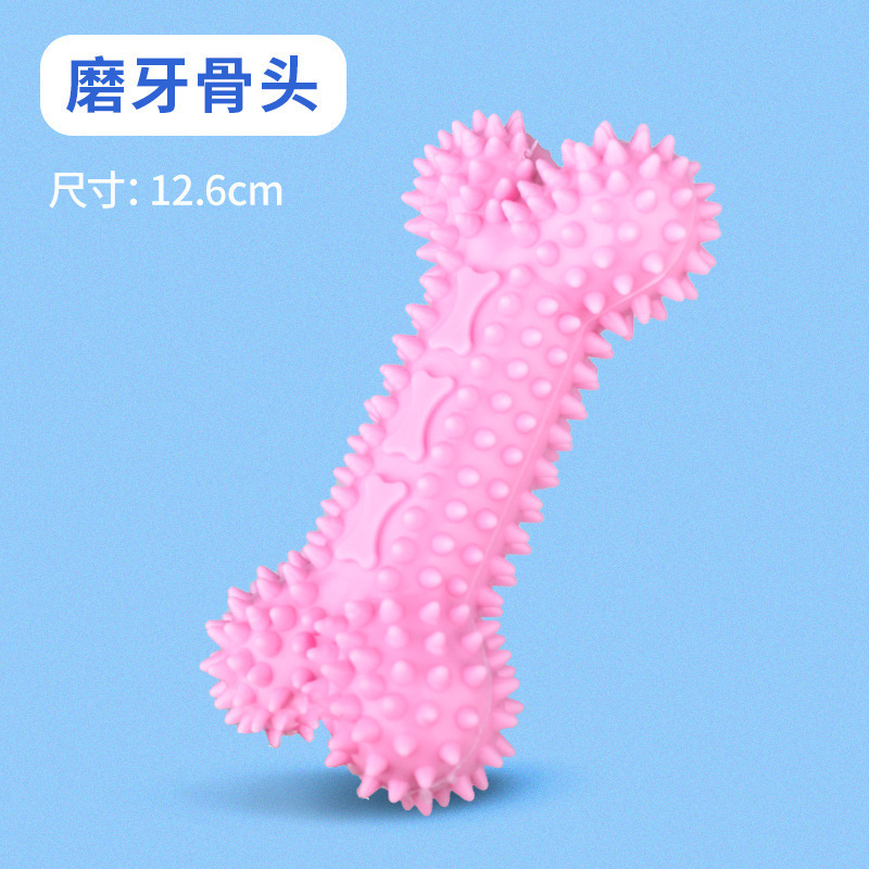QW506 molar bone