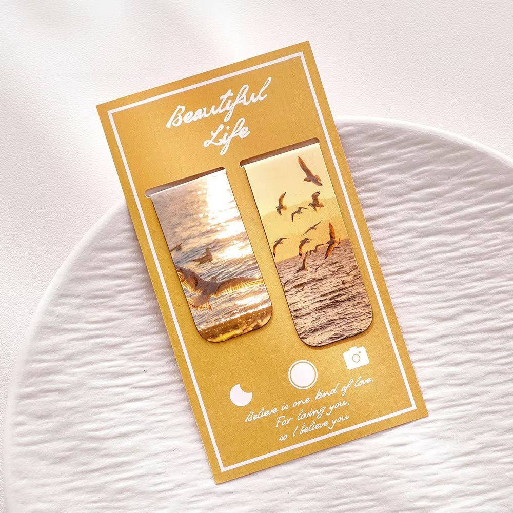 D Coucher de soleil en bord de mer