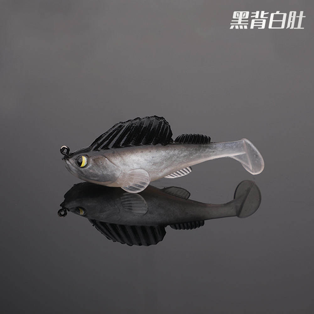 ท้องสีขาวหลังสีดำ