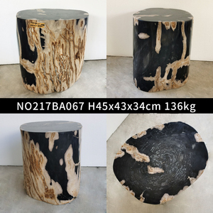 Taşlaşmış ahşap taş fosil ahşap yan masa fosil tabure - Product Image 3