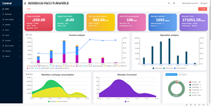 Self Development Software Einkommens diagramm analyze Token Manage System für Arcade Game Venue/Amusement Park