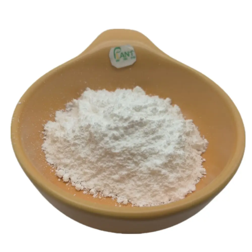 高品質のパーシモンエキスパーシモンタンニン粉末食品グレード