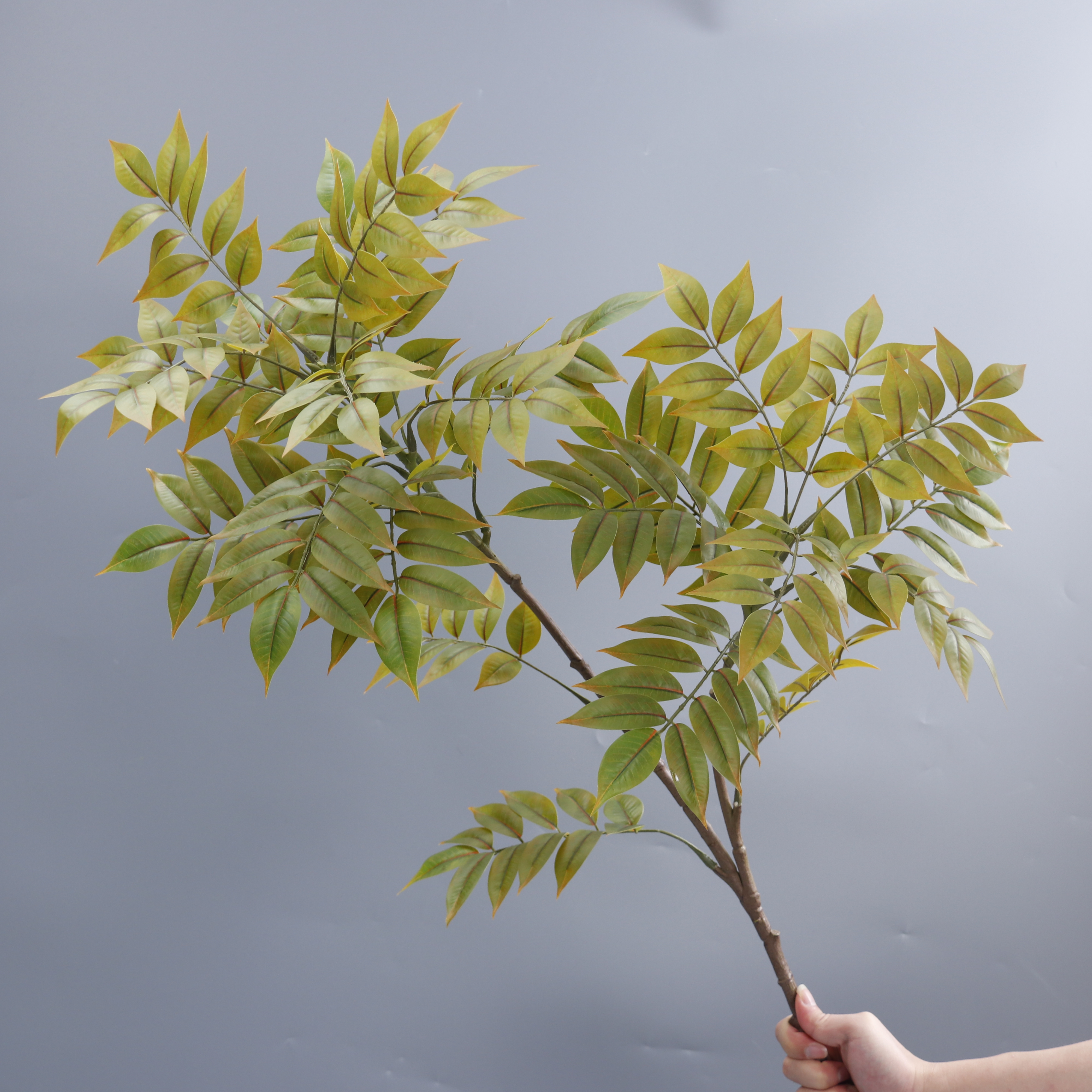 2-fork 25-head Autumn-colored Single-stem